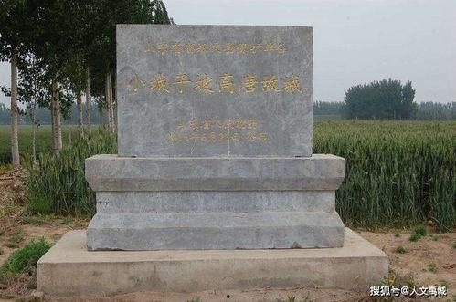 横店三子爆料自媒体视频,揭秘娱乐圈幕后真相，自媒体视频曝光惊人内幕